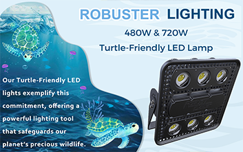 Introducing Eco-Friendly Coastal Lighting: Turtle-Friendly LED Solutions by ROBUSTER LIGHTING